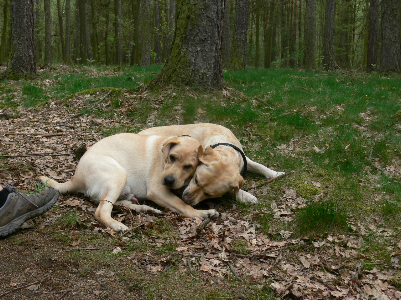 Kuba s mámou Abby