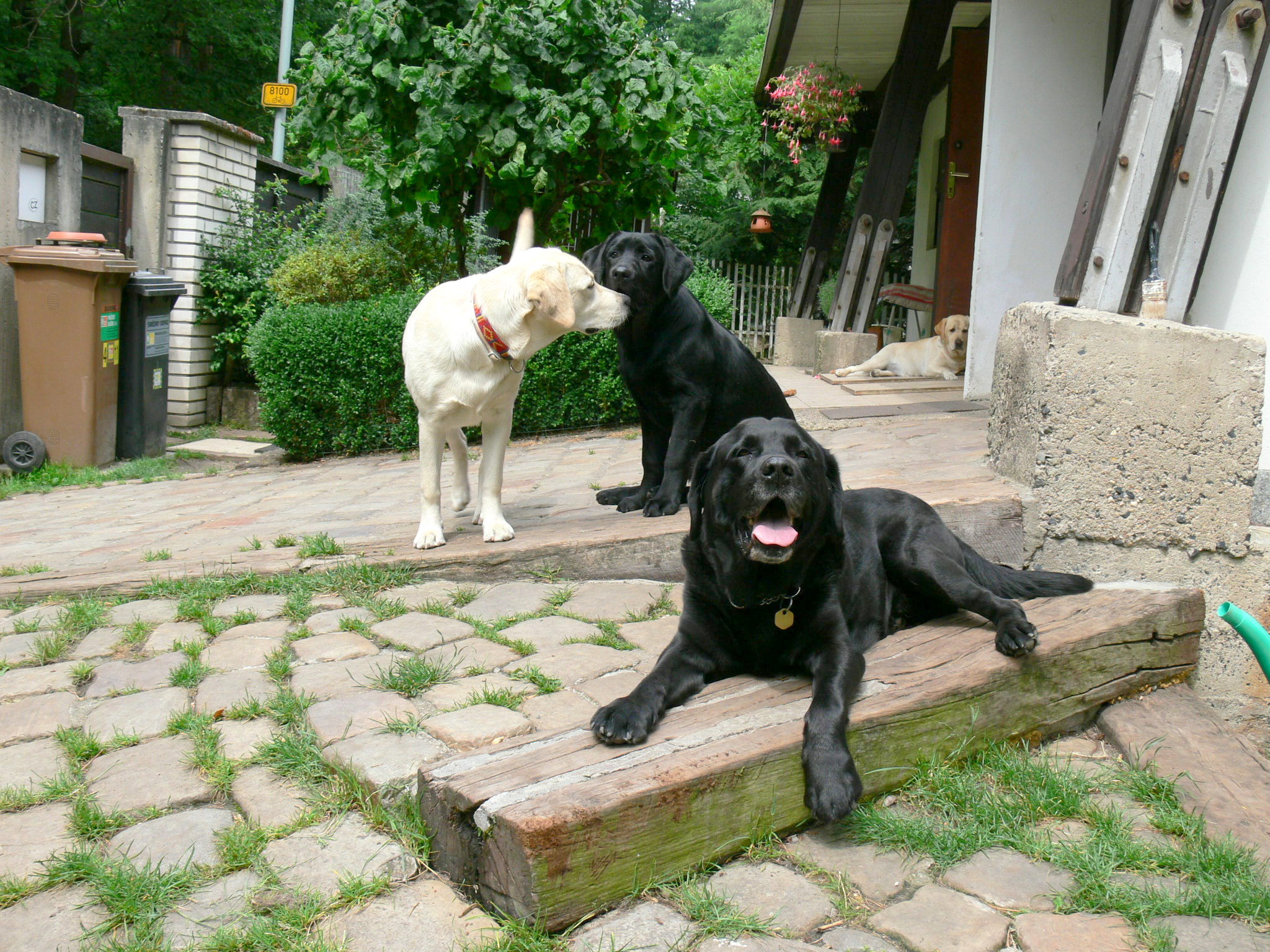 Ash, Sára s Casey a vzadu Abby