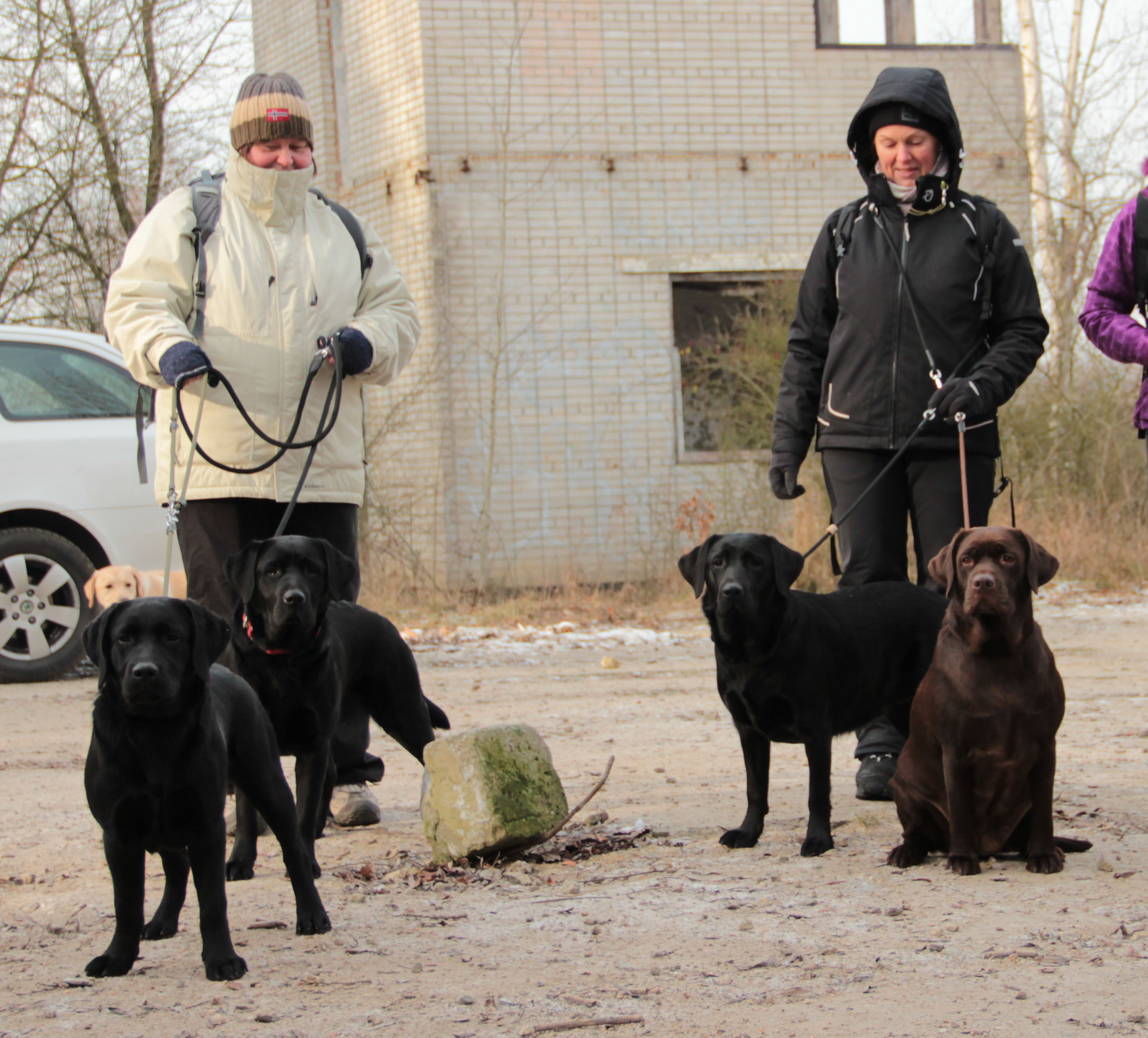 Fren, Casey, Clair a Roxi