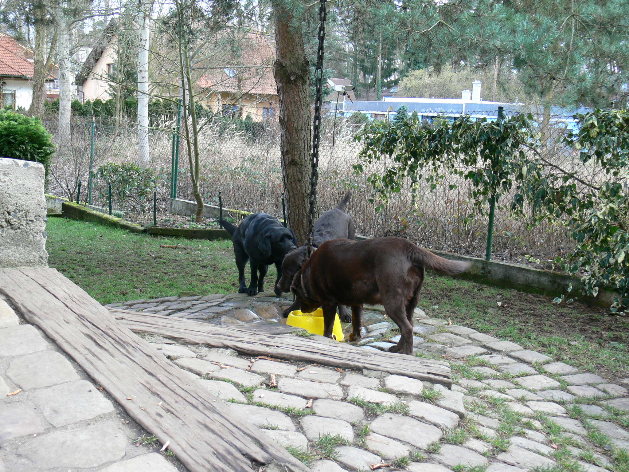 Casey, Roxana a Bohoušek