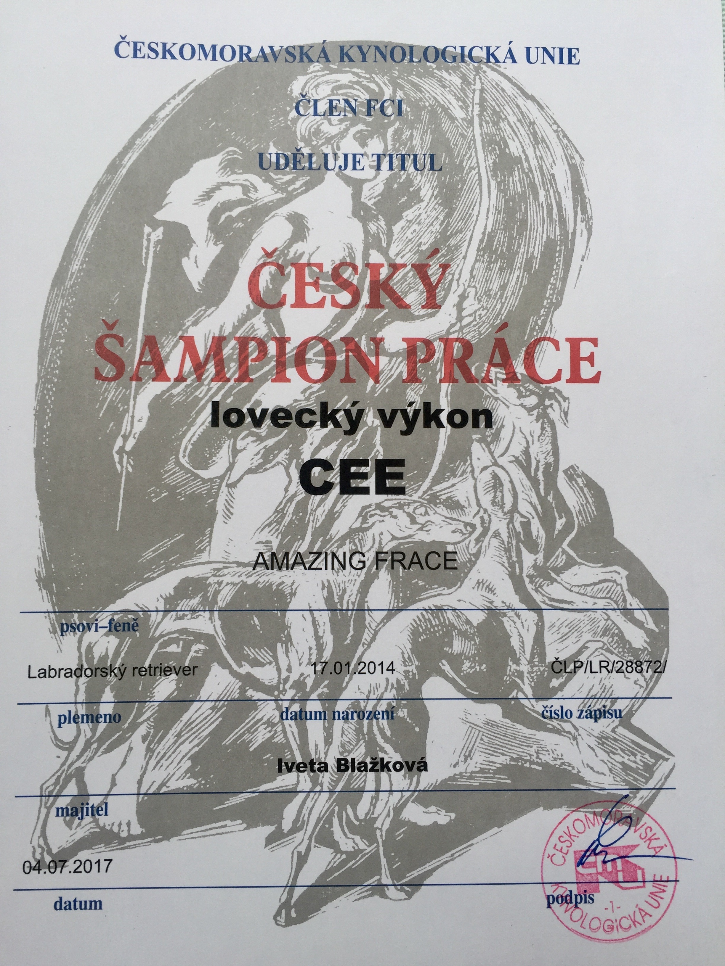 Cee Amazing Frace