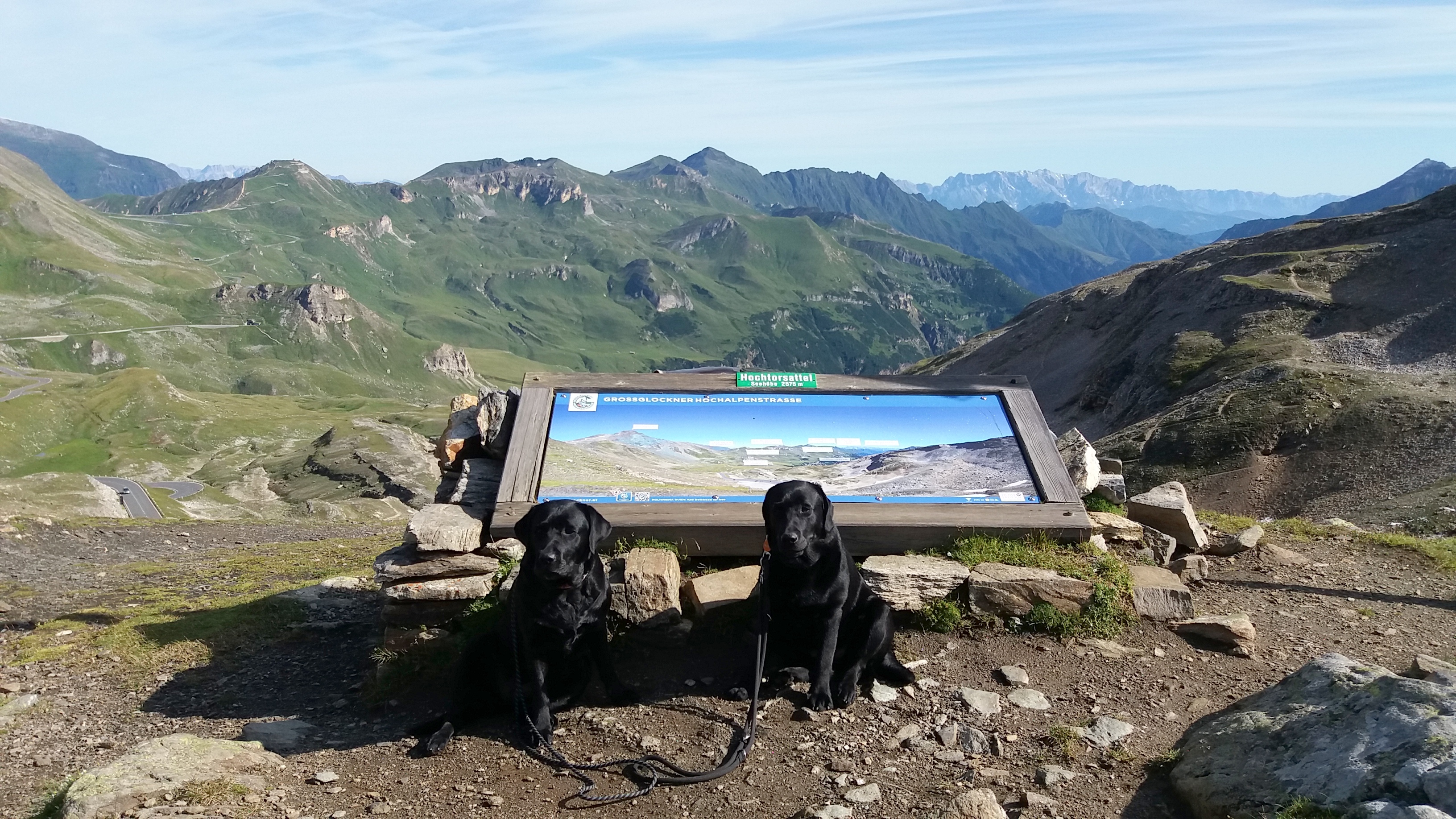 Růža s Casey ve výšce cca 2520m