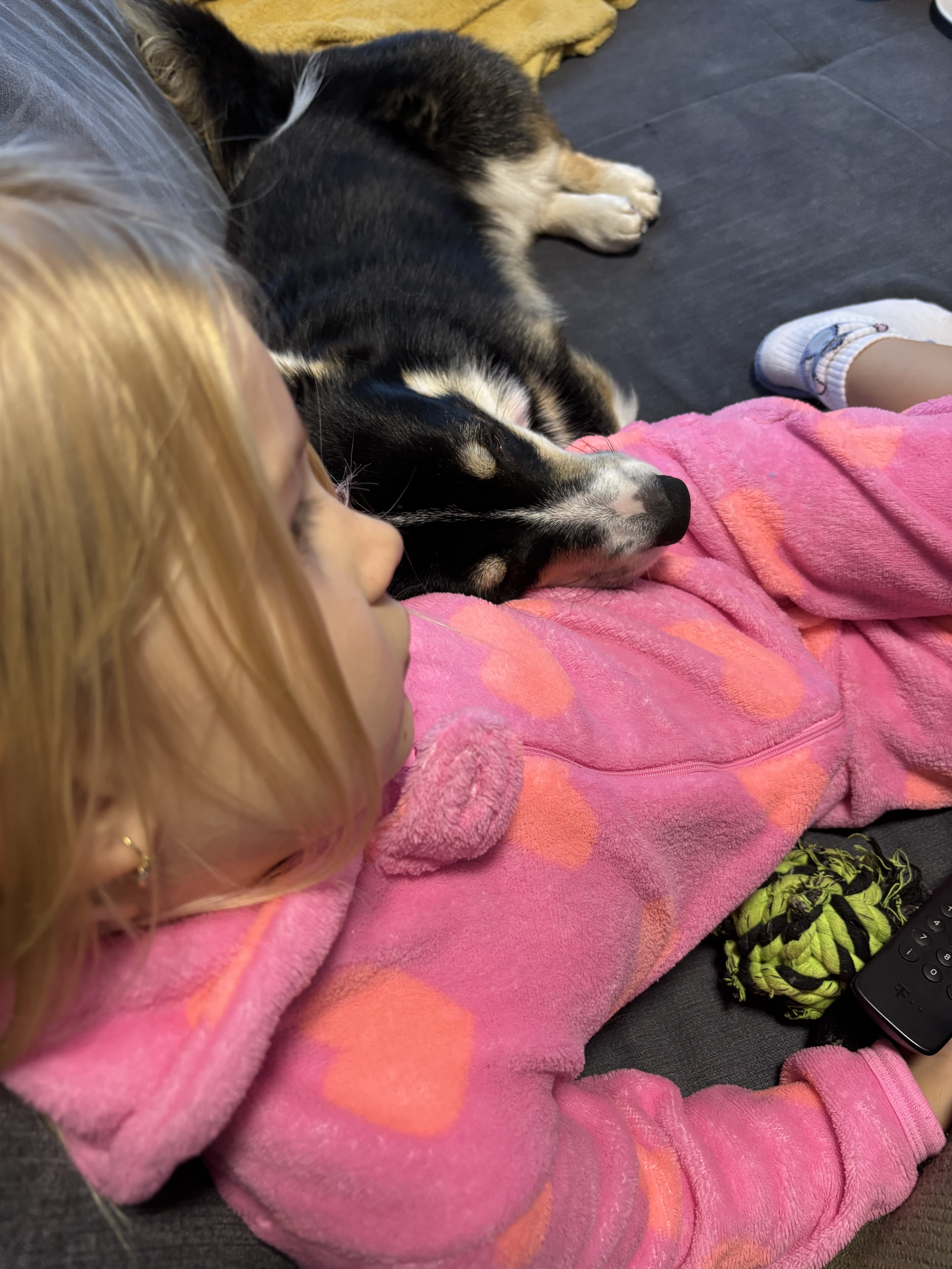 Archie_1.narozeniny1