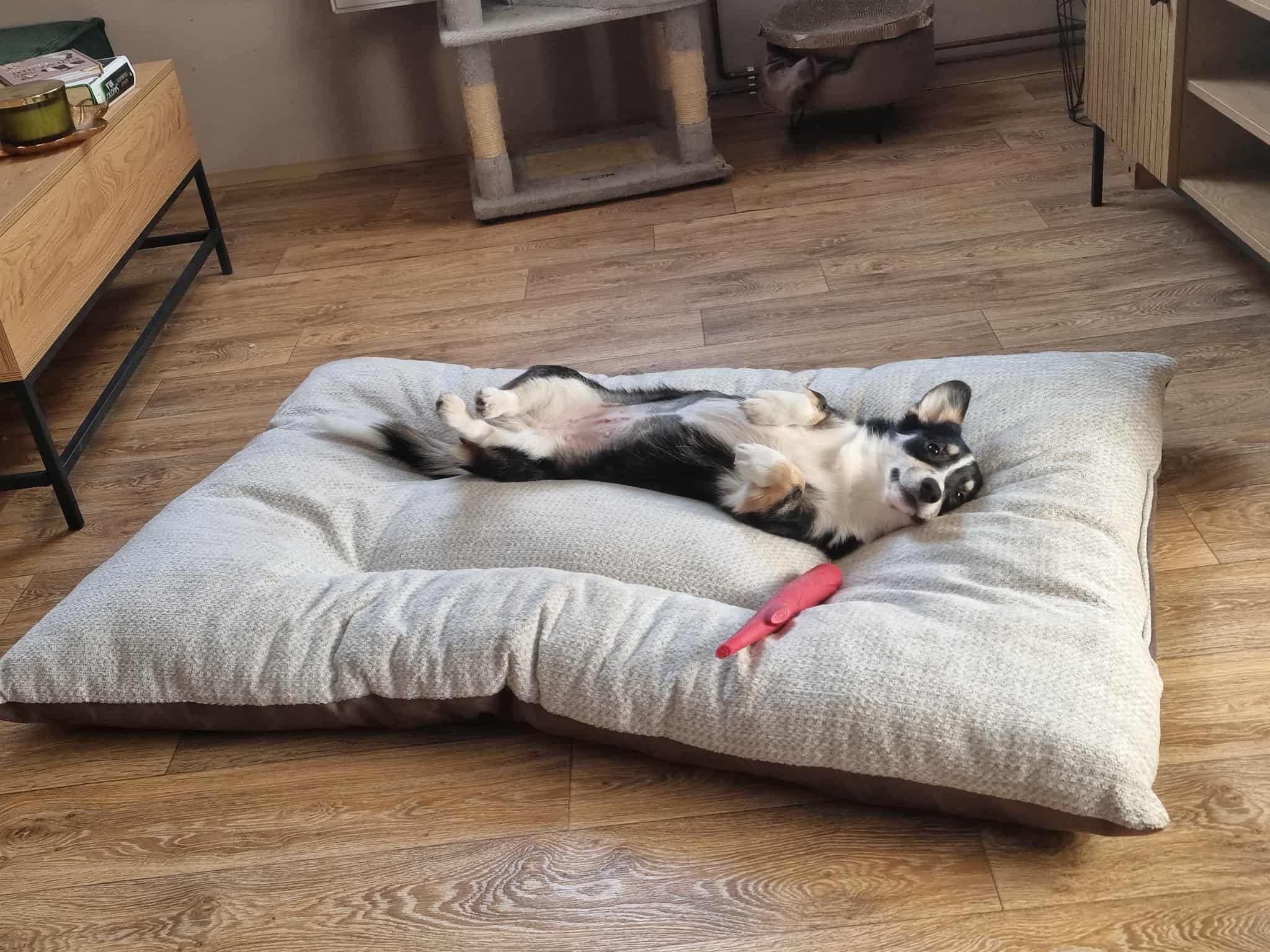 Connie_1.narozeniny1